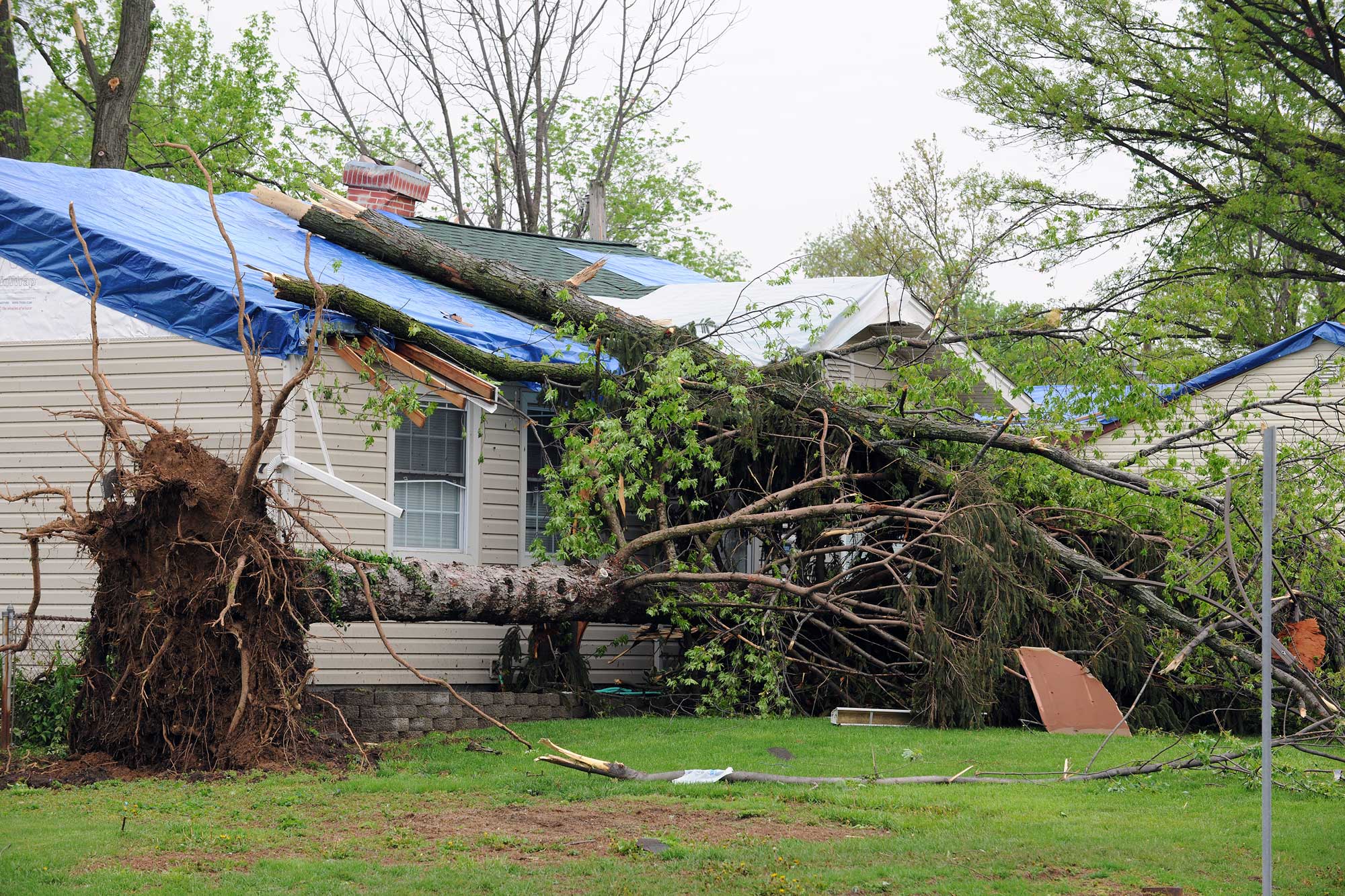 roof storm damage in Greenville