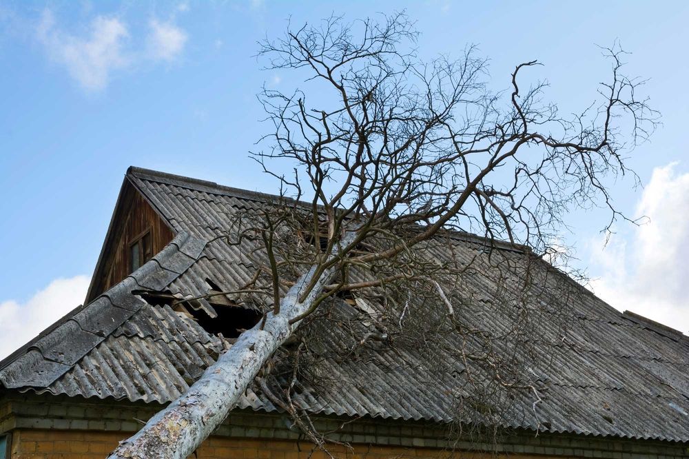 storm damage roof in longview