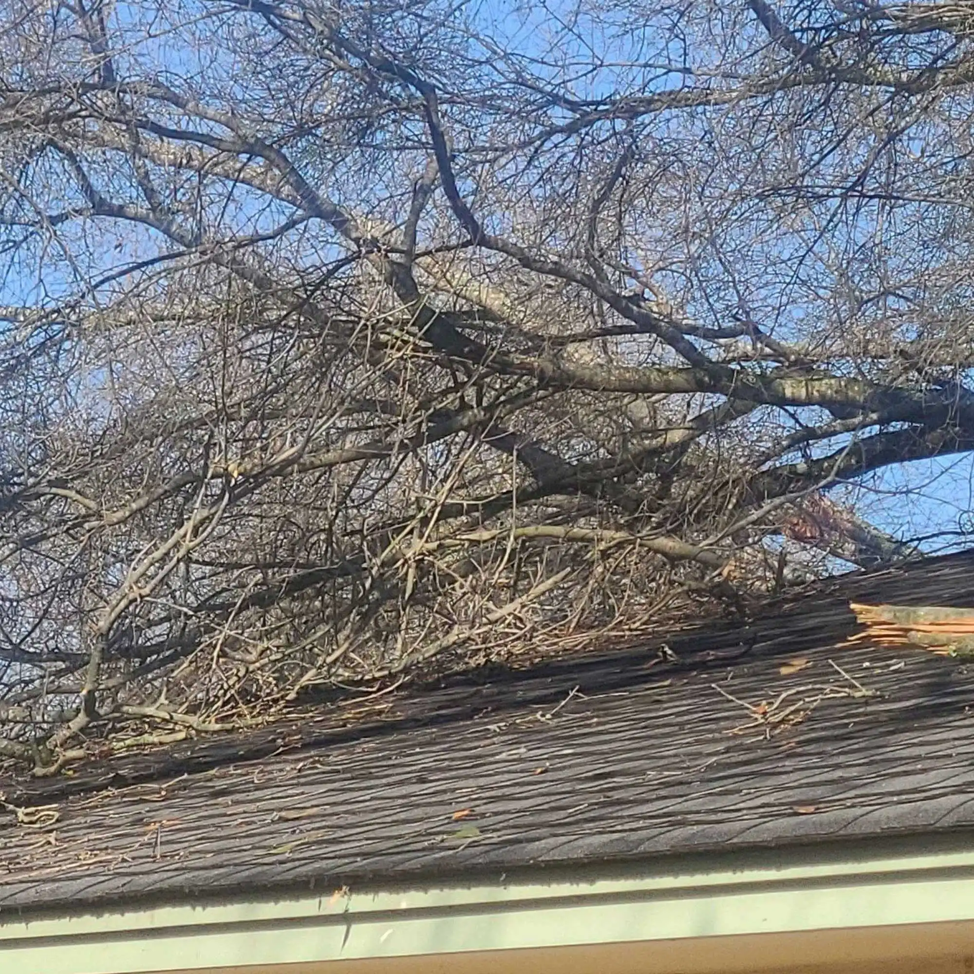 Project One Roofing Dallas-Fort-Worth Storm damage